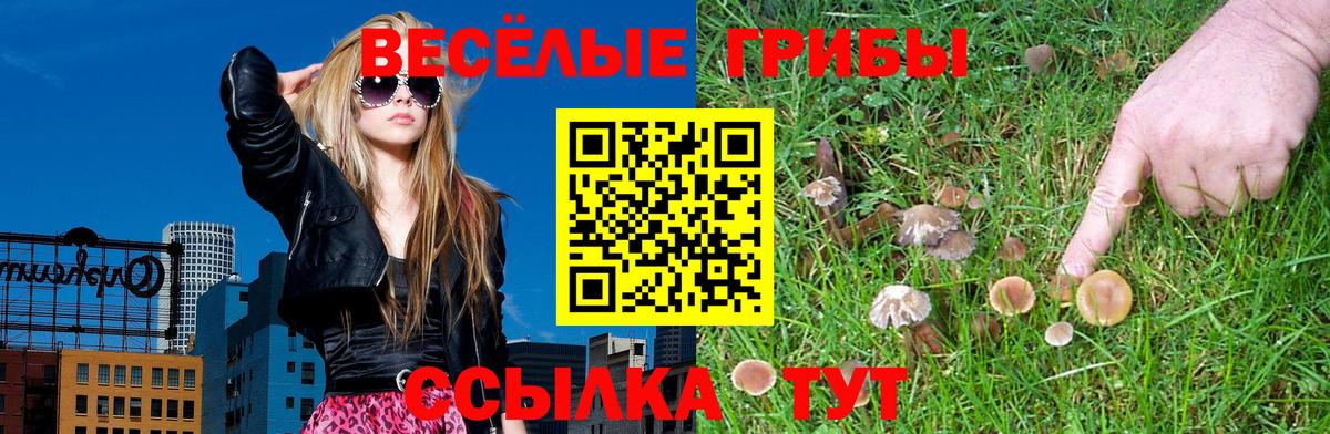 Псилоцибиновые грибы прущие грибы Орехово-Зуево