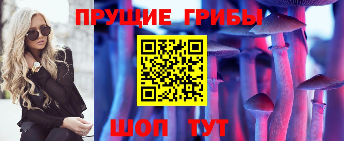 Орехово-Зуево  Псилоцибиновые грибы Psilocybine cubensis  закладки  Вход с VPN 